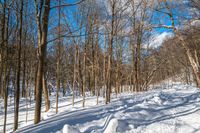 a snow bank is surrounded by trees and skis on the snow trail in the woods