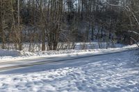 Canadian Winter Landscape: Snow Forest Road