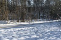 Canadian Winter Landscape: Snow Forest Road 002