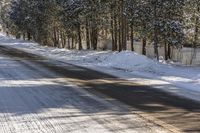 a street covered with snow in front of a tree lined area filled with trees, grass and snow