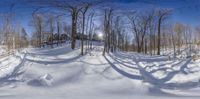 trees are surrounded by deep snow, casting shadow lines on it's ground and path