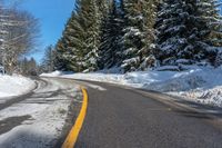 a snowy road with an orange line on it surrounded by trees in winter time with snow