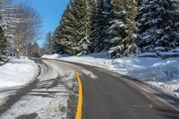 a snowy road with an orange line on it surrounded by trees in winter time with snow