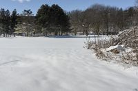 Canadian Winter Scene: Snow, Lake, Trees 002