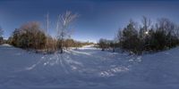 snow covered land with trees and a trail on the left side of it and snowbank