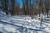 a fence surrounds the snow on this snowy trail in wintertime by the woods and bare trees