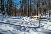 a fence surrounds the snow on this snowy trail in wintertime by the woods and bare trees