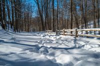 a fence surrounds the snow on this snowy trail in wintertime by the woods and bare trees