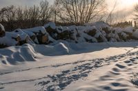 snow covered rocks next to some bare trees and hills, in winter time with sunshine coming through the leaves