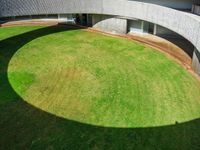 Canary Island Landscape: High Grass and Open Space