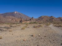 Canary Islands: Aeolian Landforms in a Beautiful Valley