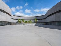 an empty parking lot with an open area in front of a large concrete building and palm trees