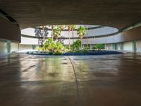 a large courtyard has concrete floors with trees and palm trees, a circular water feature and a low circular dome