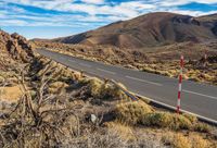 the road goes down the desert towards the mountains, with bushes around it and small bush growing near it