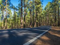 a scenic empty road with a forest in the background during the day time stock photo