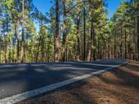 a scenic empty road with a forest in the background during the day time stock photo