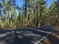 a scenic empty road with a forest in the background during the day time stock photo