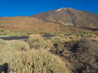 the mountains and road are seen with grass and scrub brush in the foreground and one is on a motorcycle