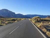 an empty road lined with vegetation and mountains in the distance on a sunny day with blue sky