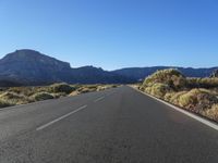 an empty road lined with vegetation and mountains in the distance on a sunny day with blue sky