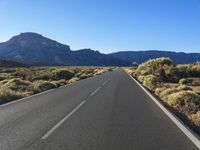 an empty road lined with vegetation and mountains in the distance on a sunny day with blue sky