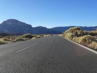 an empty road lined with vegetation and mountains in the distance on a sunny day with blue sky