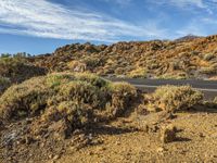 Canary Islands: Nature and Low Mountain Landscape