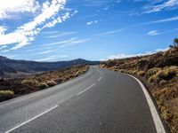 Nature in the Canary Islands: Trees and Clouds