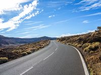 Nature in the Canary Islands: Trees and Clouds