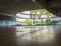 a building is shown from the inside with palm trees in the foreground and on the left, a concrete wall that surrounds an open floor