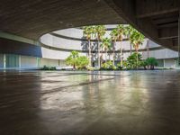 a building is shown from the inside with palm trees in the foreground and on the left, a concrete wall that surrounds an open floor