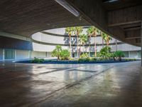 a building is shown from the inside with palm trees in the foreground and on the left, a concrete wall that surrounds an open floor