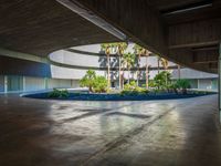 a building is shown from the inside with palm trees in the foreground and on the left, a concrete wall that surrounds an open floor