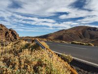 Road Through Canary Islands: Bush, Grass, and Clouds