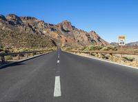 Road in the Canary Islands: Surrounded by Nature and Vegetation