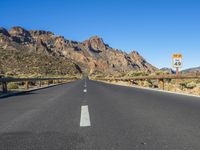 Road in the Canary Islands: Surrounded by Nature and Vegetation