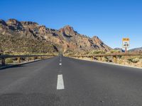 Road in the Canary Islands: Surrounded by Nature and Vegetation