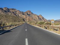 Road in the Canary Islands: Surrounded by Nature and Vegetation