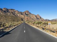 Road in the Canary Islands: Surrounded by Nature and Vegetation