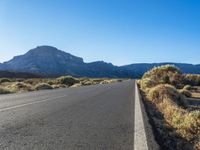 road leading out of mountains with bushes and trees near the roadside area in the desert