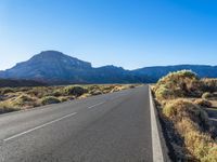 road leading out of mountains with bushes and trees near the roadside area in the desert