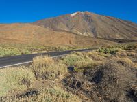 a desert with a road, a mountain and some grass and bushes in the foreground