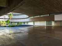 there is an empty concrete room with a pool and palm trees in the distance to the left