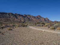 Canary Islands Volcanic Landscape Under a Clear Sky