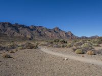 Canary Islands Volcanic Landscape Under a Clear Sky