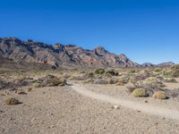 Canary Islands Volcanic Landscape Under a Clear Sky