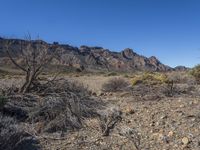 Canary Islands Volcanic Landscape: Rocky Surfaces and Natural Beauty