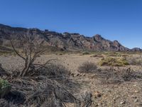 Canary Islands Volcanic Landscape: Rocky Surfaces and Natural Beauty