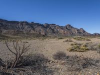 Canary Islands Volcanic Landscape: Rocky Surfaces and Natural Beauty