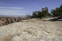 trees line the edge of a cliff next to a canyon of rocks and greenery